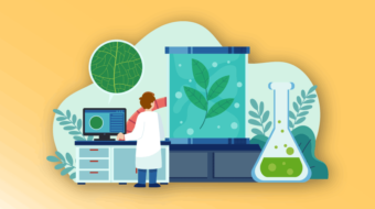 Accelator-Natural-Compounds-min